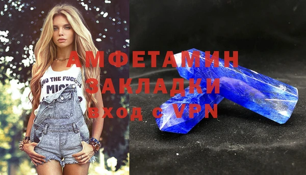 шишки Покачи