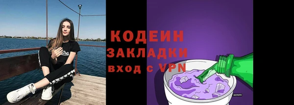 шишки Покачи