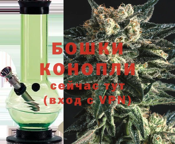 сатива Приозерск