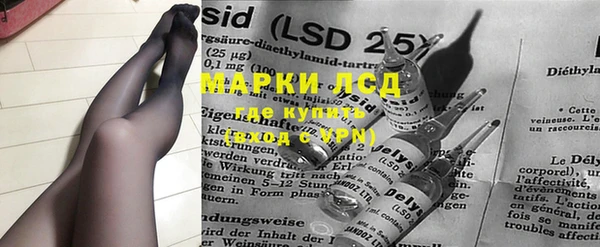 шишки Покачи