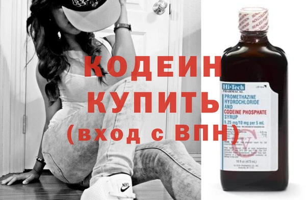 шишки Покачи