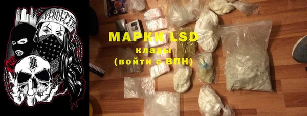 шишки Покачи