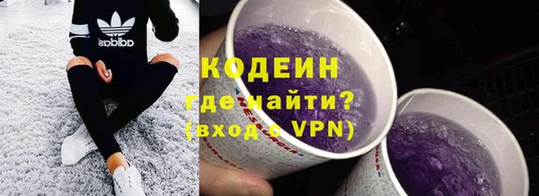 шишки Покачи