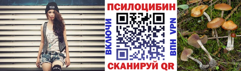 Псилоцибиновые грибы Psilocybine cubensis  hydra вход  Солнечногорск 
