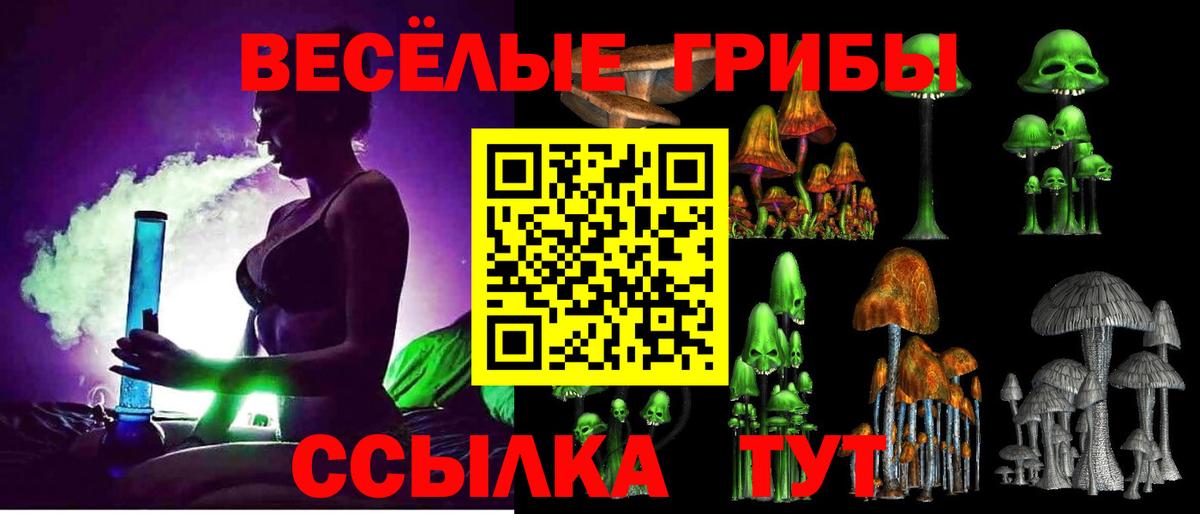 Солнечногорск  Галлюциногенные грибы Magic Shrooms  Вход с VPN 