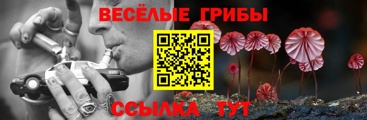 Галлюциногенные грибы GOLDEN TEACHER Солнечногорск